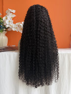 Premium Virgin Hair HD 13x4 Full Frontal Wig 200% Density Burmese Curly
