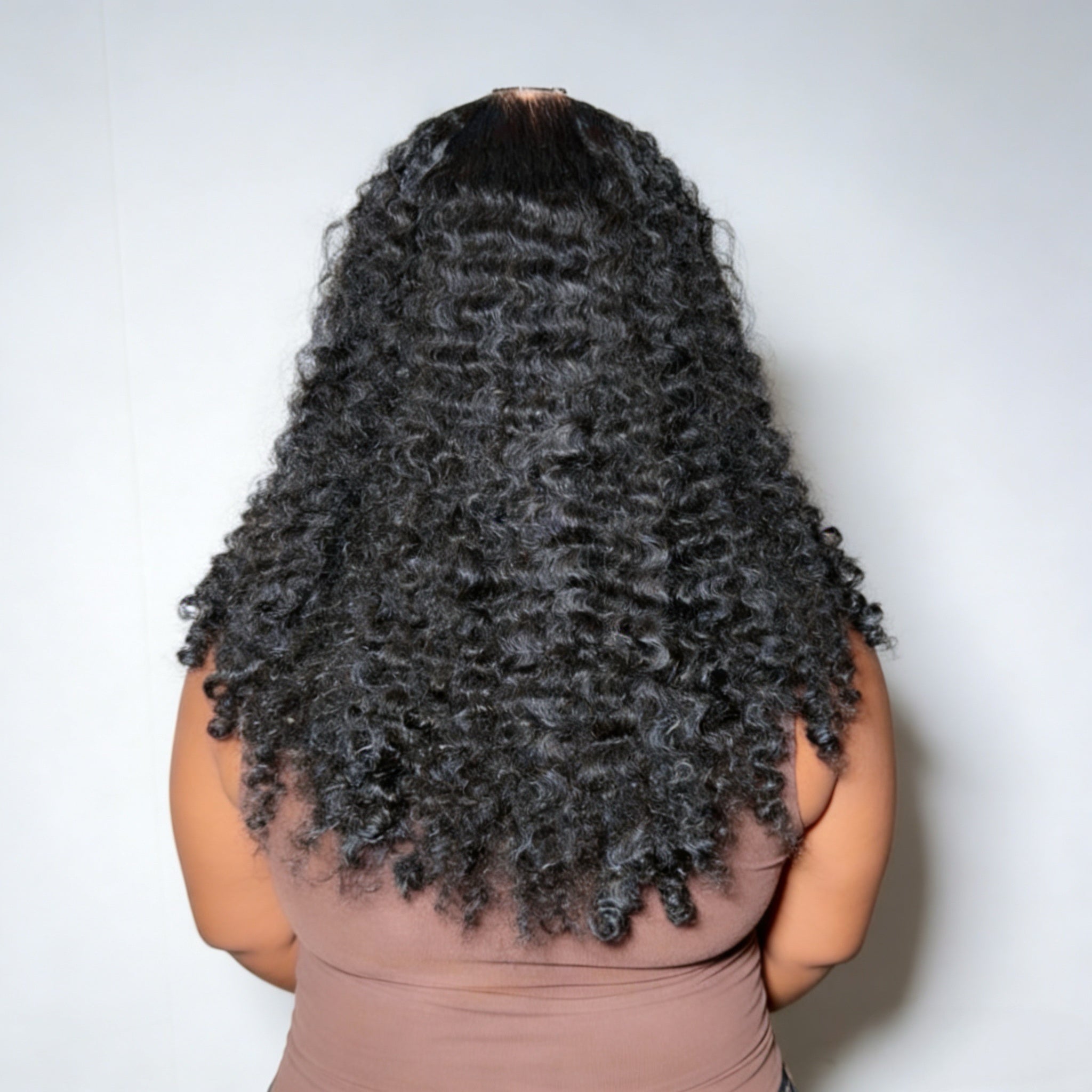 Premium Virgin Hair HD 5x5 Lace Closure Wig Burmese Curly Human Hair Wig 200% Density Pre Plucked Invisible Lace